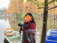 -白鹭湾湿地公园