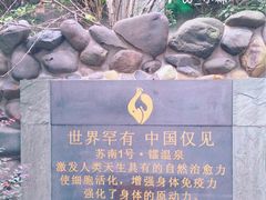 -张家港金凤凰度假村温泉