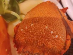 -天伦松鹤大饭店·欣妮咖啡