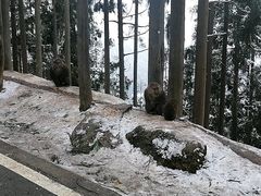 -太阳湾风景区