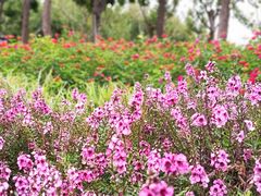 -上海山野camping·户外天幕烧烤·团建拓展营地