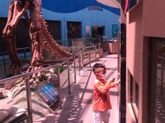 -陕西自然博物馆