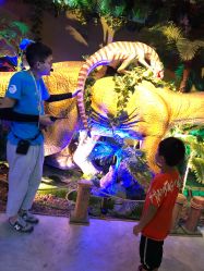 -恐龙探索乐园(磁器口店)