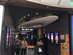 -卢米埃影城(住总万科杜比全景声激光店)