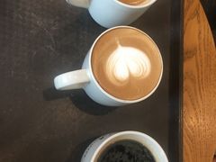 -Gloria Jean's Coffees