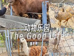 -长白岛森林公园