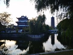 -葛仙湖公园