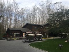 -合肥滨湖国家森林公园