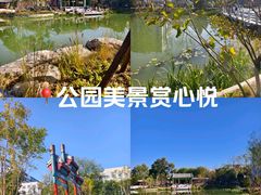 -首都医科大学宣武医院
