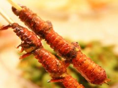 -白仁仔· 活烤海鲜 宵夜(豫园店)