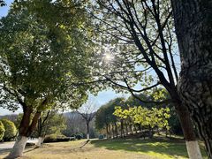 -南京市江宁方山