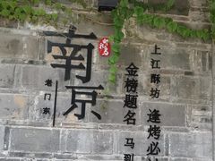 -两棵枇杷树