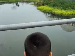 -马陆小张葡萄园农家乐