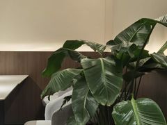-ZEMOCAFE·FUSION FOOD(西交利物浦店)