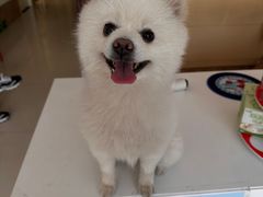 -美联众合24小时·皮肤科·外科·全科诊疗中心(华苑分院)