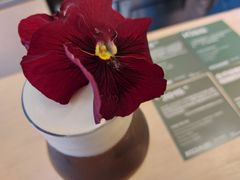 -村口大树(长乐路店)