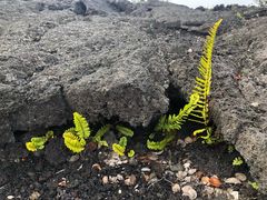 -夏威夷火山国家公园
