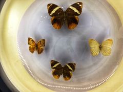 -下渚湖国家湿地公园科普馆