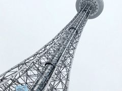 -龙塔