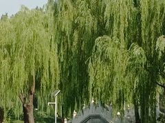 -中国农业博物馆
