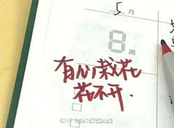 -HEYAN荷妍专业脱毛连锁机构