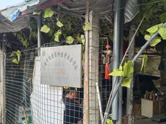 -马陆小张葡萄园农家乐