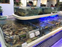 -大众海鲜(巨龙北路店)