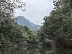 -广西龙虎山风景区