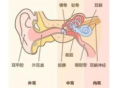 -AudioNova 海之声助听器峰力助听器索诺瓦自营店(北京店)