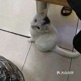 上面放了几片原汁原味的牛肉。汤汁鲜美