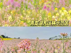 -白鹭湾湿地公园
