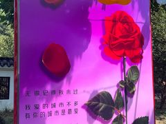 -无锡梅园公园