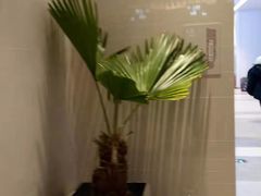 -希拉穆仁草原