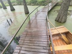 -渌洋湖湿地公园