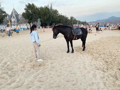 -玫瑰海岸文化旅游度假区