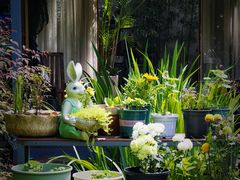 -谷咖啡·鲜花绿植花园餐厅