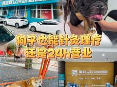 -美联众合动物医院·24h京西诊疗中心
