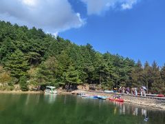 -四明山国家森林公园
