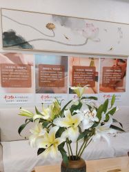 -慈蕊美容养生·专业经络调理