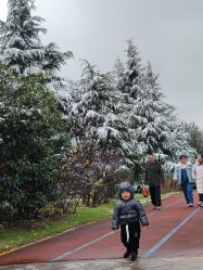 -上海交通大学医学院附属上海儿童医学中心(陆家嘴总院区)