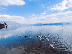 -丽江泸沽湖景区