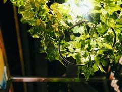 -胡桃里音乐酒馆(东区店)