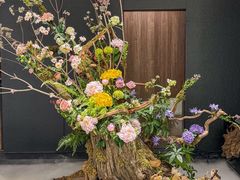-隅焰·三生三味·手作川菜(金沙天街店)
