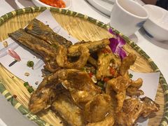 -陶缘一号·四季缘·老字号顺德菜·户外婚礼家宴(西滘店)