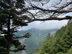 -朱雀国家森林公园