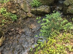 -青龙山国家森林公园