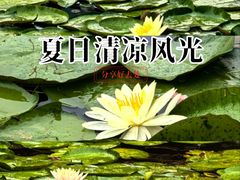 -丝绸小镇荻港古村