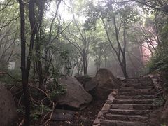 -大岭沟猕猴桃谷风景区