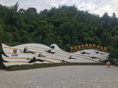 -西双版纳原始森林公园
