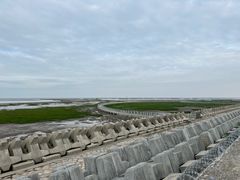 -南汇嘴观海公园